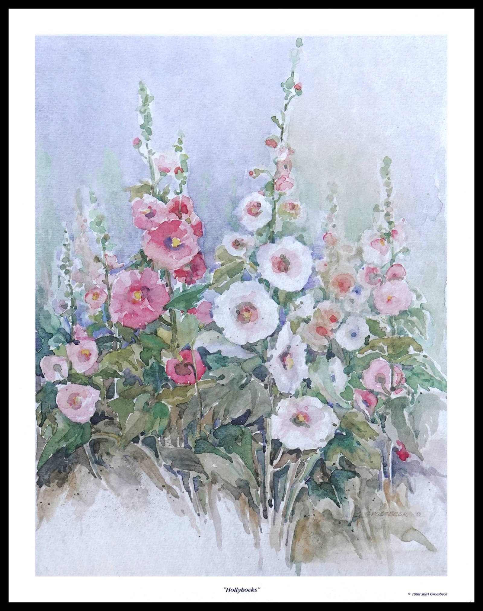 PG G-250 Hollyhocks